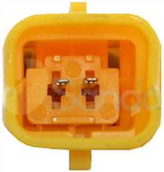 SAC70023 PLUG DELPHI Type 12V 6Ribs V5