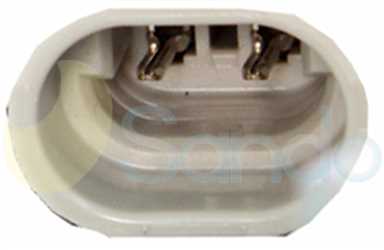 SAC77026 PLUG DELPHI Type 12V 6Ribs CVC