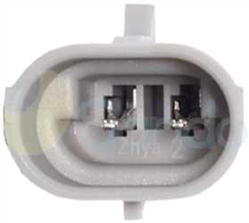 SAC77067 PLUG DELPHI Type 12V 2/6Ribs CVC