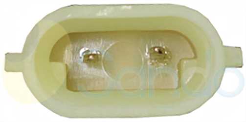 SAC77119 PLUG DELPHI Type 12V 6Ribs /V5 