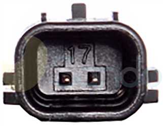 SAC78176 PLUG HANON Type 12V 5Ribs 6VS16e