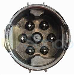 SAM75011 PLUG BMW Type 