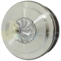 SCH73079 BACK BORGWARNER Type 