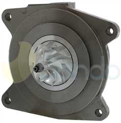 SCH73126 BACK BORGWARNER Type 