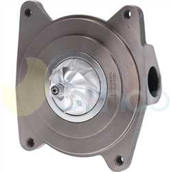 SCH73137 BACK BORGWARNER Type 