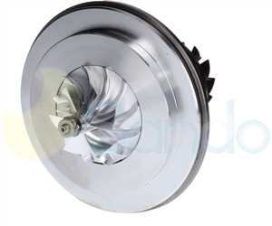 SCH73144 BACK BORGWARNER Type 