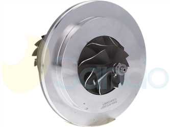 SCH73146 BACK BORGWARNER Type 