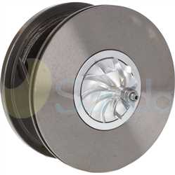 SCH74079 BACK BORGWARNER Type 