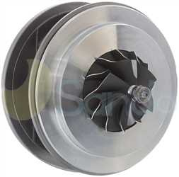 SCH81001 BACK BORGWARNER Type 