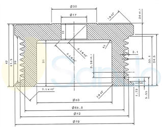 SCP10909 PLUG BOSCH Type PR8 17 mm 72 mm 42 mm 