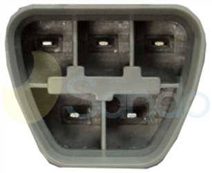 SGA70110 PLUG PSA Type 12V 