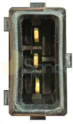 SIC71010 PLUG RENAULT Type 