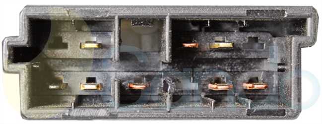 SLS70403 PLUG PSA Type 12V 