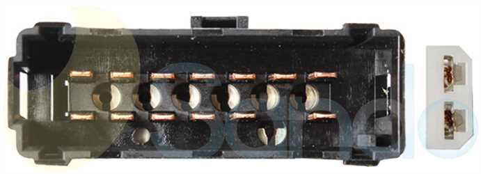 SLS71012 PLUG RENAULT Type 12V 