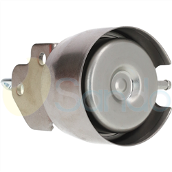 SPV52020 FRONT BORGWARNER Type 24V 