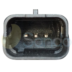 SPV70019 PLUG BORGWARNER Type 12V 