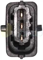 SPV74010 PLUG BORGWARNER Type 