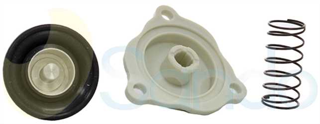 SPV77006 FRONT BORGWARNER Type 