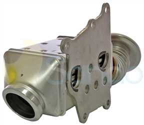 SRG74005 BACK FIAT Type 