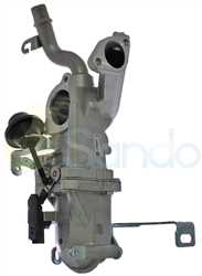 SRG74013 BACK FIAT Type 