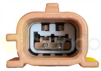 SSN71F18 PLUG RENAULT Type 