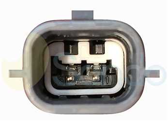 SSN71F29 PLUG RENAULT Type 